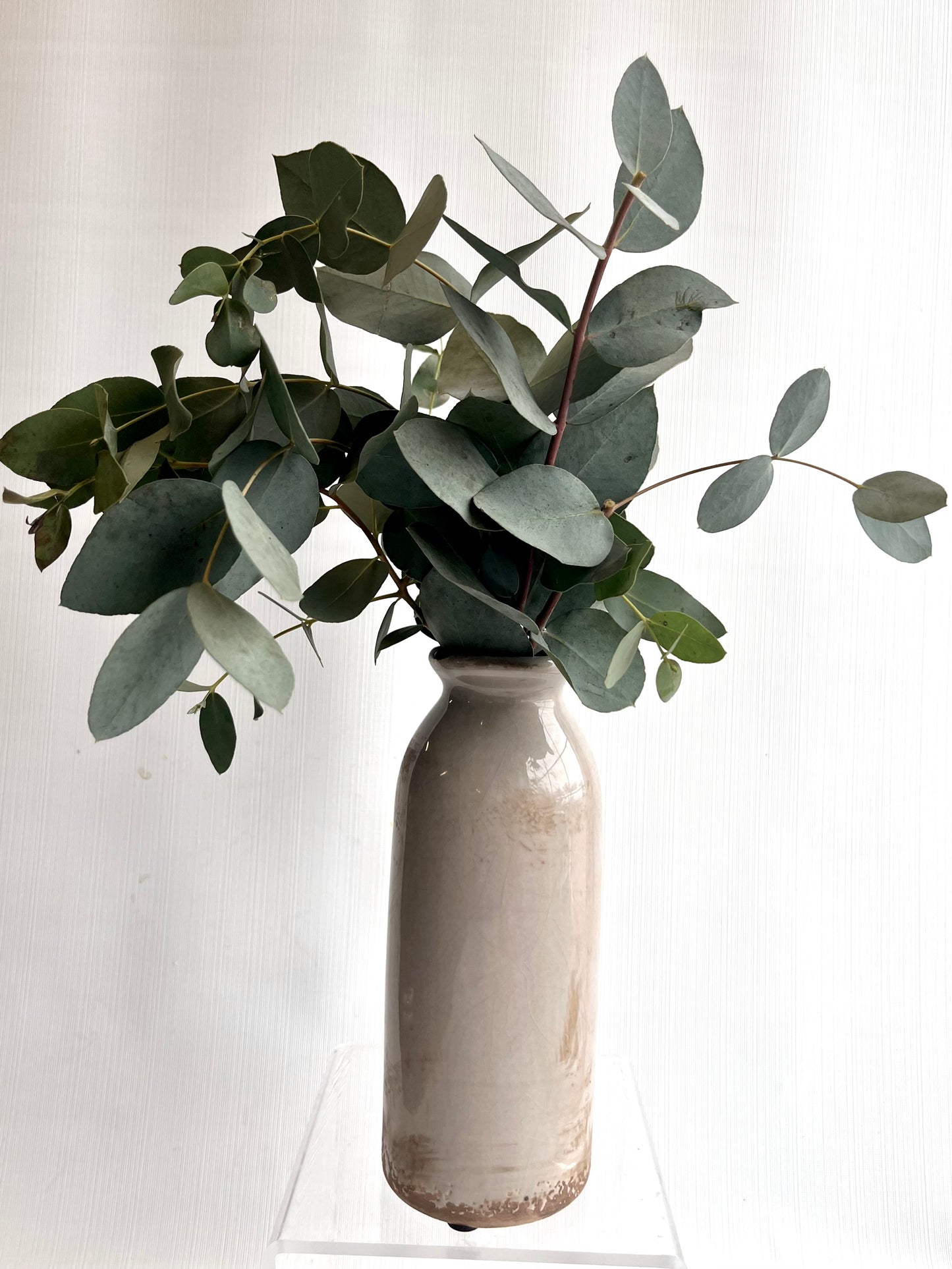 Eucalyptus and Vase